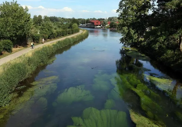 Ecolodge D'Architectes Classe 4 Etoiles - Maison Rimbaud * Saint-Laurent-Blangy